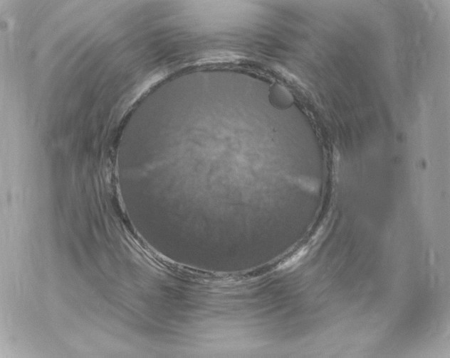 X0000069811401200606161837