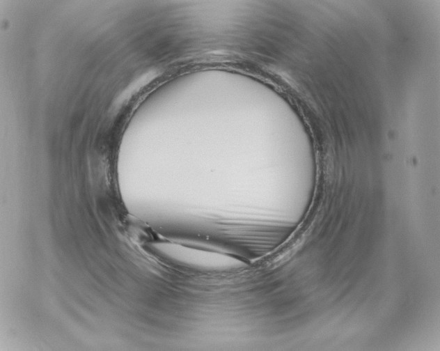 X0000069811402200606161837