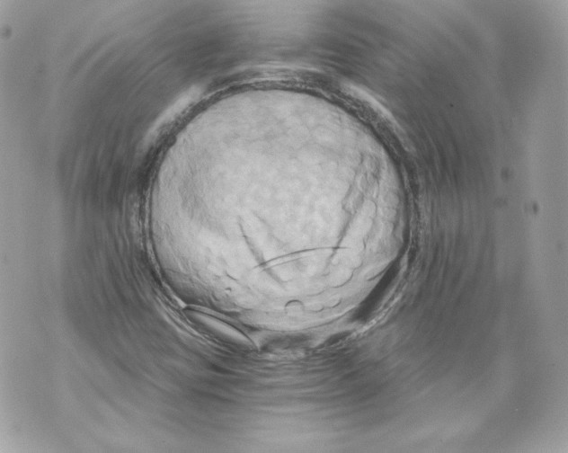 X0000069811403200606161838