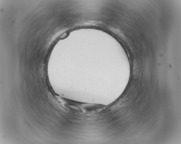 X0000069811404200606161838