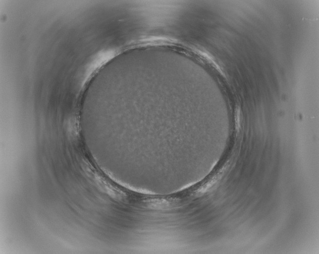 X0000069811405200606161838