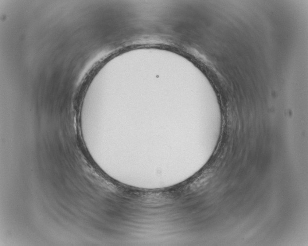 X0000069811408200606161838