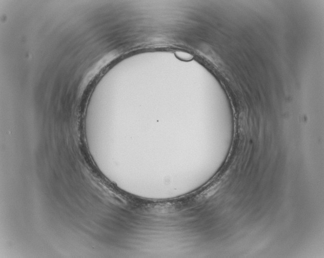 X0000069811410200606161838