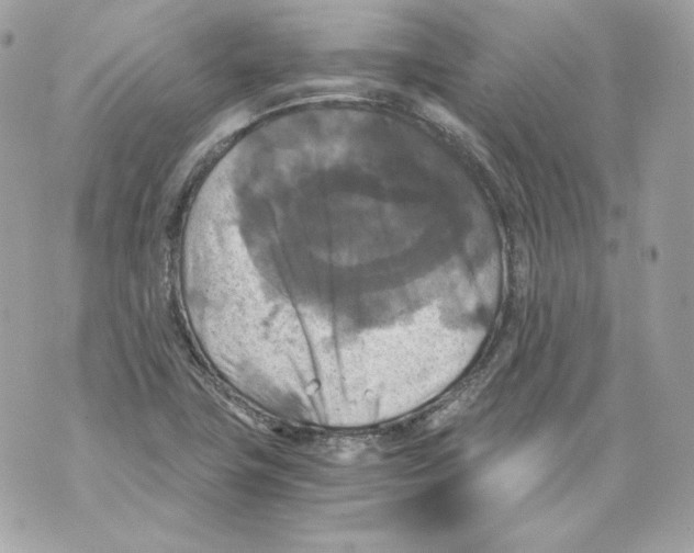 X0000069811411200606161838