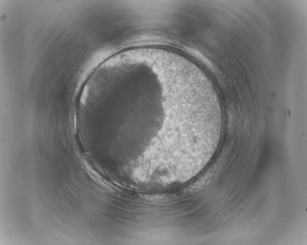 X0000069811413200606161838