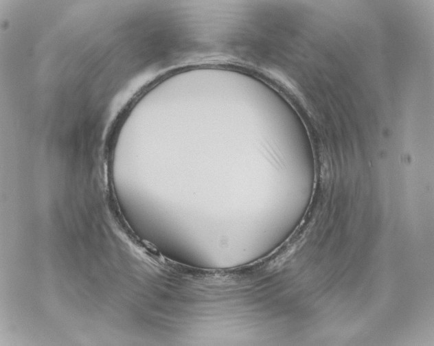 X0000069811414200606161838