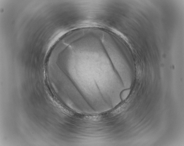 X0000069811415200606161838