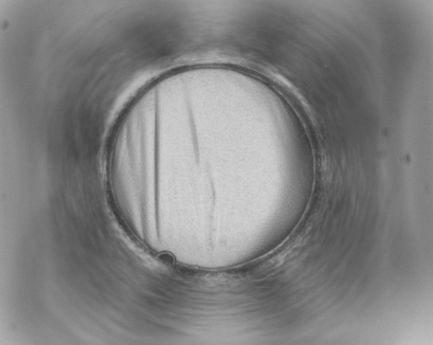 X0000069811416200606161838