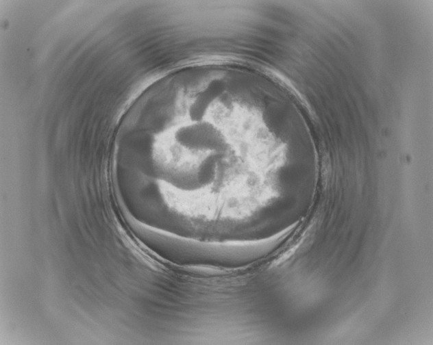 X0000069811417200606161838