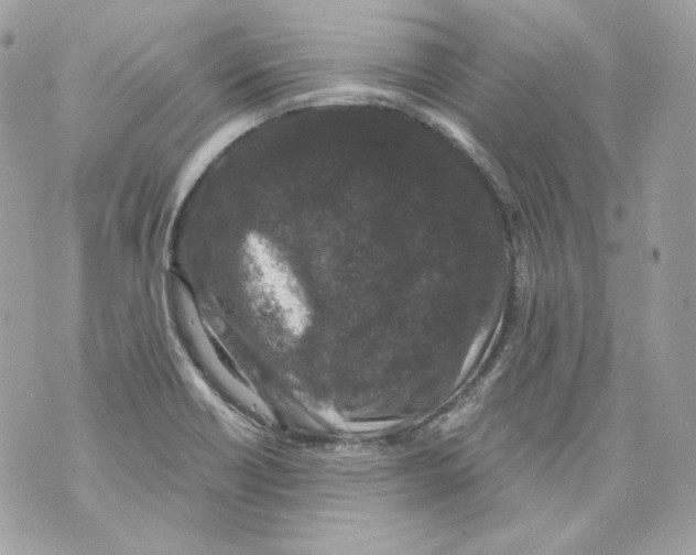 X0000069811418200606161838