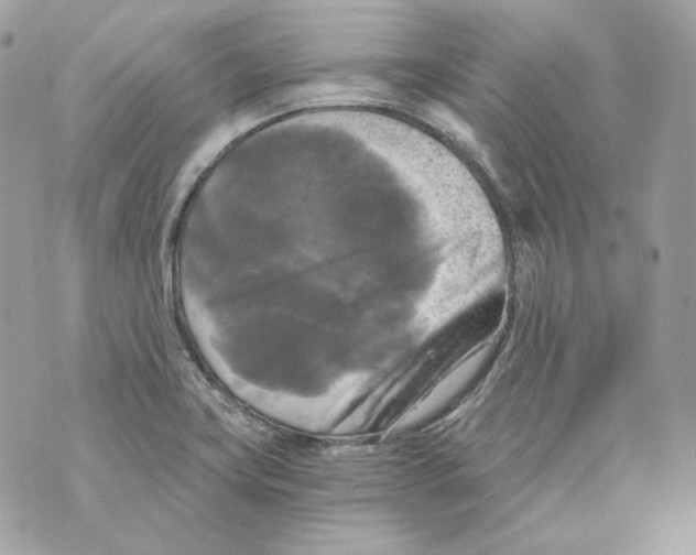 X0000069811419200606161838