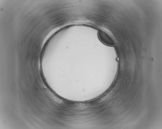 X0000069811420200606161838