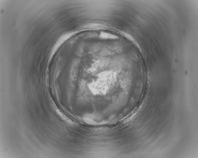 X0000069811421200606161838