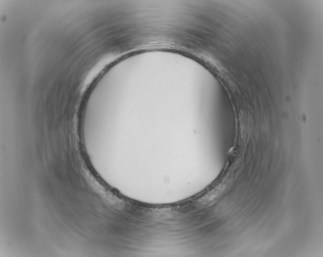 X0000069811422200606161838