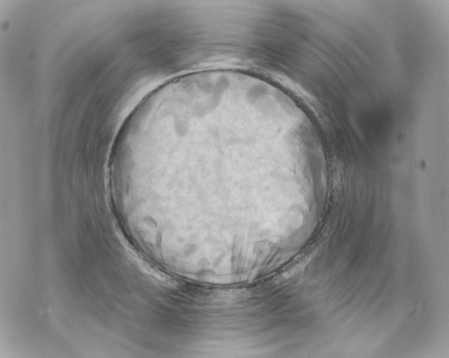 X0000069811423200606161838