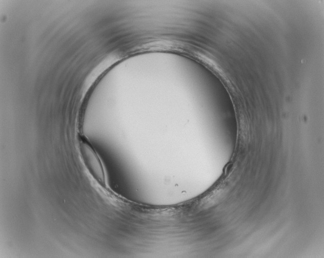 X0000069811426200606161838