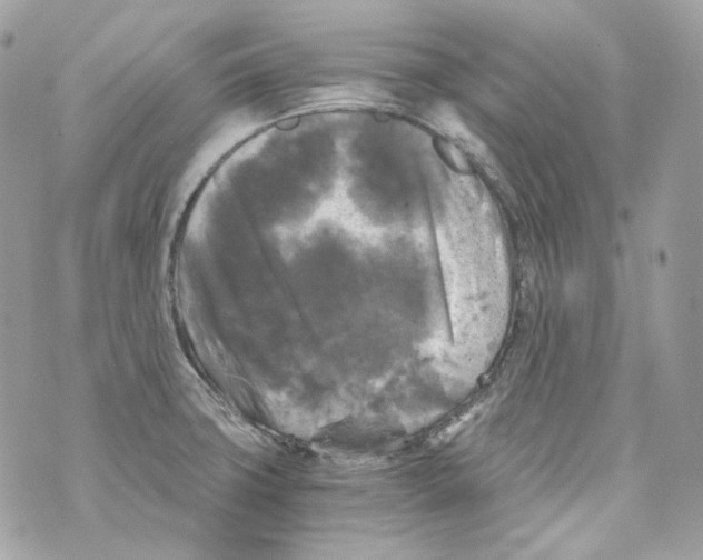 X0000069811427200606161838