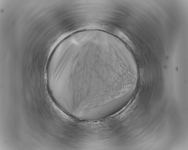 X0000069811428200606161838