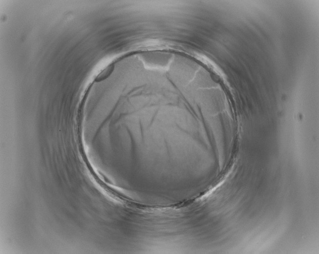 X0000069811429200606161838