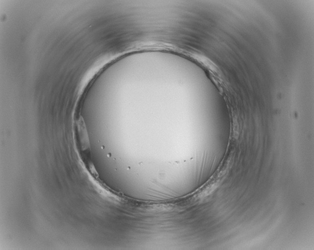 X0000069811430200606161838