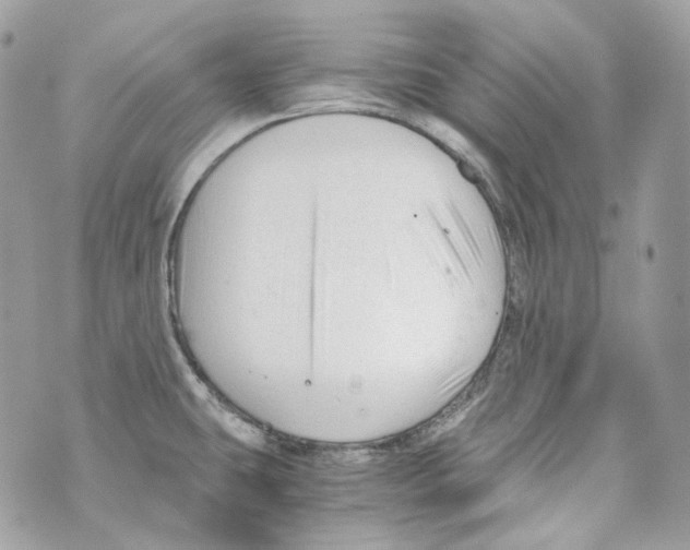 X0000069811431200606161838