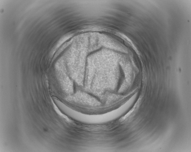 X0000069811433200606161838