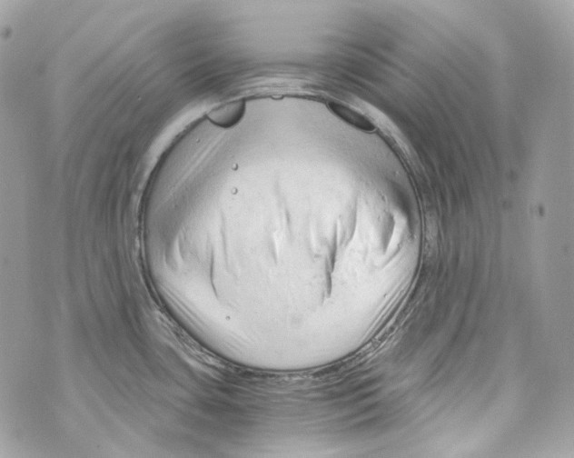 X0000069811435200606161838