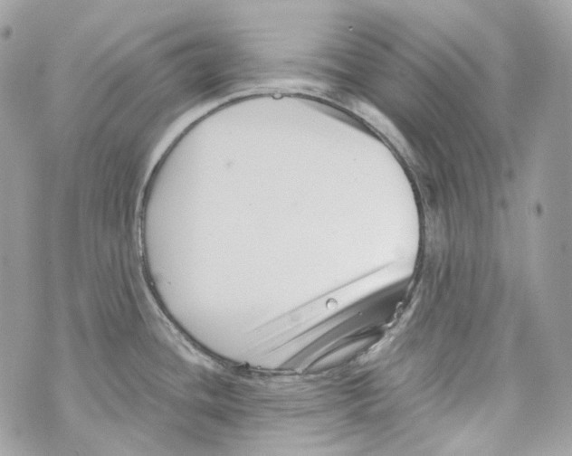 X0000069811436200606161838