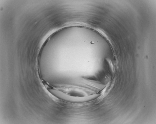 X0000069811438200606161838