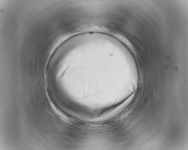 X0000069811439200606161838