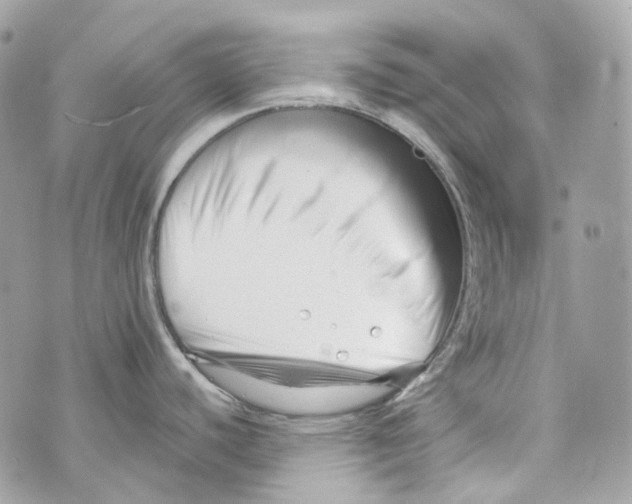 X0000069811440200606161838