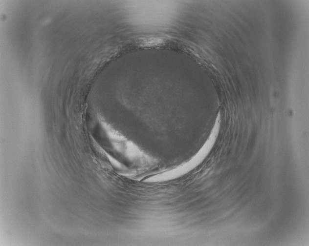 X0000069811441200606161837