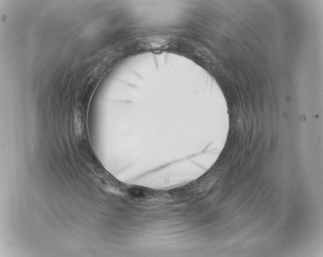 X0000069811442200606161837