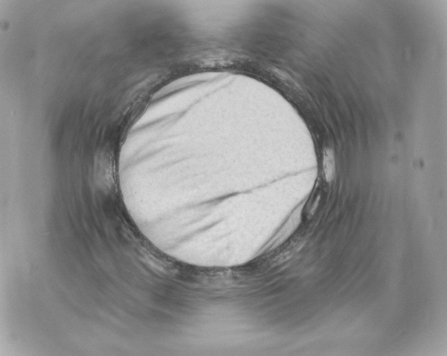 X0000069811444200606161837