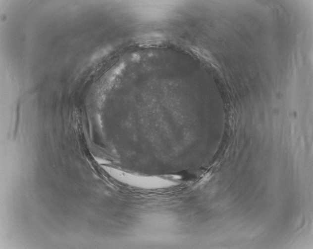 X0000069811445200606161837