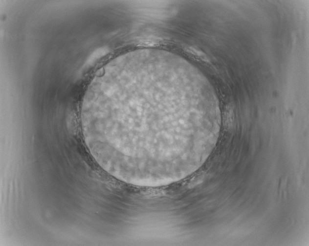 X0000069811446200606161837