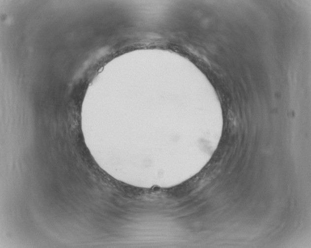 X0000069811447200606161837