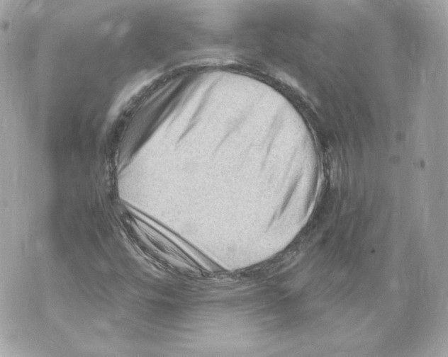 X0000069811448200606161837