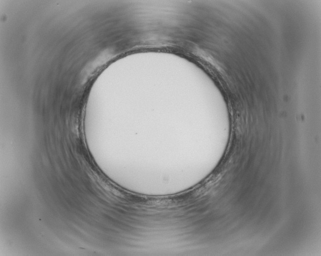 X0000069811451200606161837