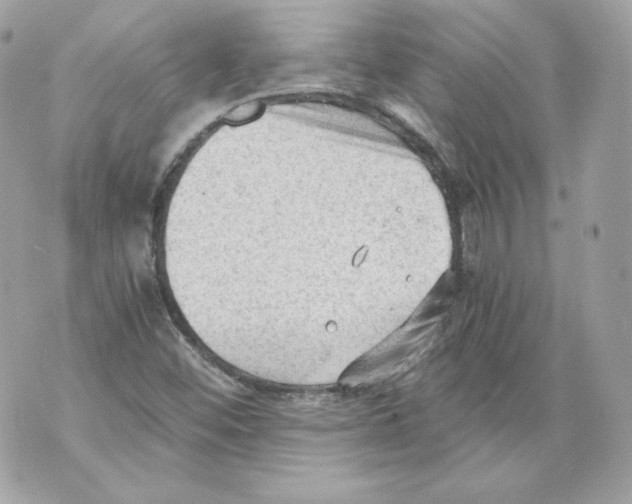 X0000069811452200606161837