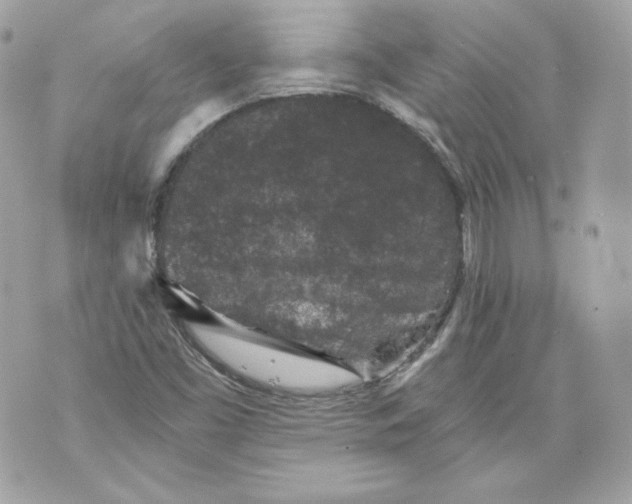 X0000069811453200606161837