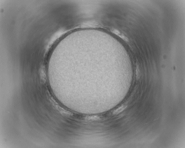 X0000069811454200606161837