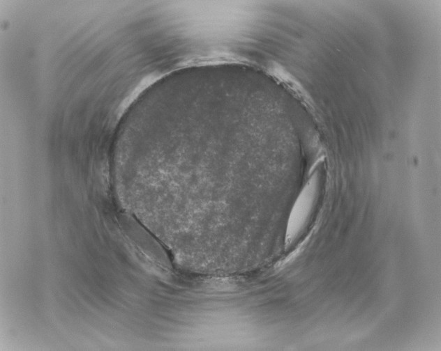 X0000069811457200606161837