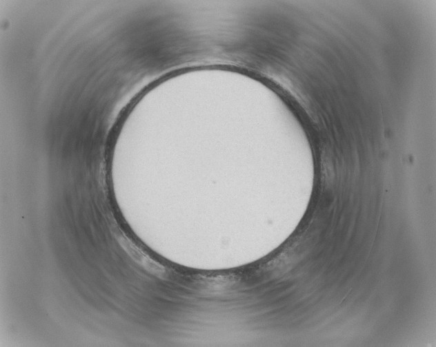 X0000069811460200606161837