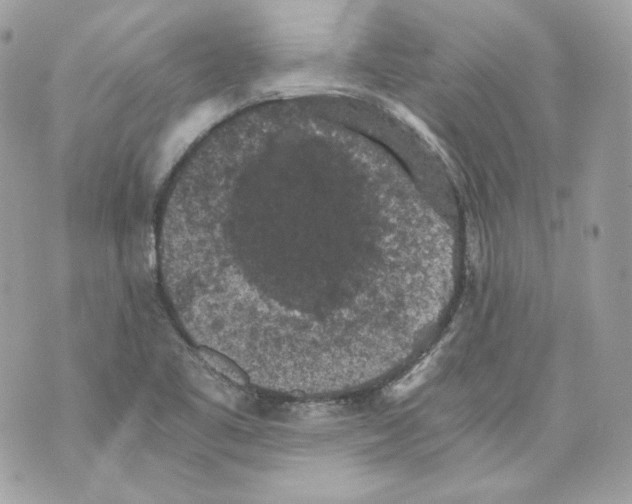 X0000069811461200606161837