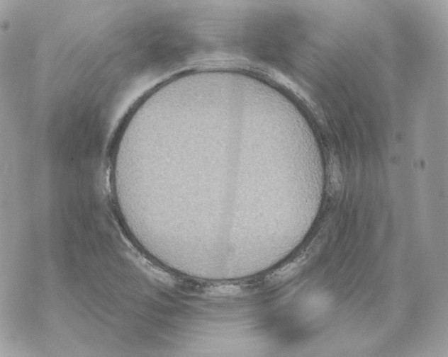 X0000069811462200606161837