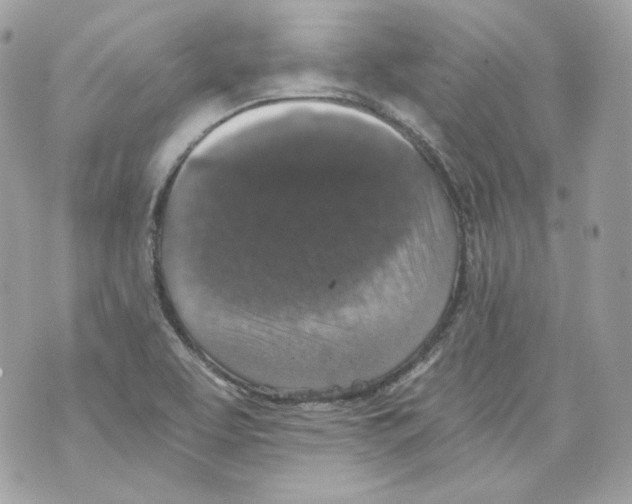 X0000069811463200606161837