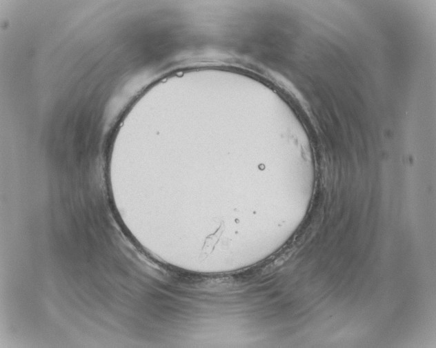 X0000069811464200606161837