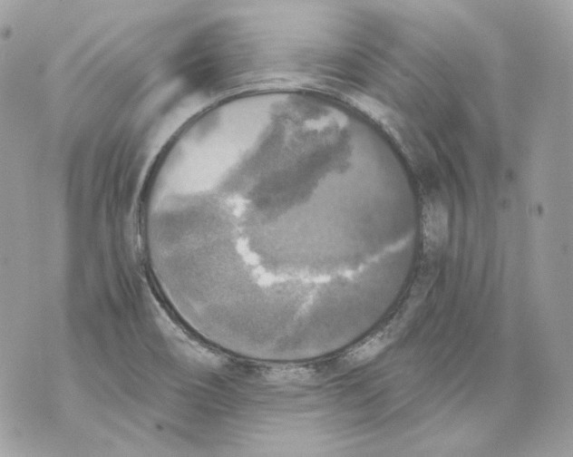 X0000069811466200606161837