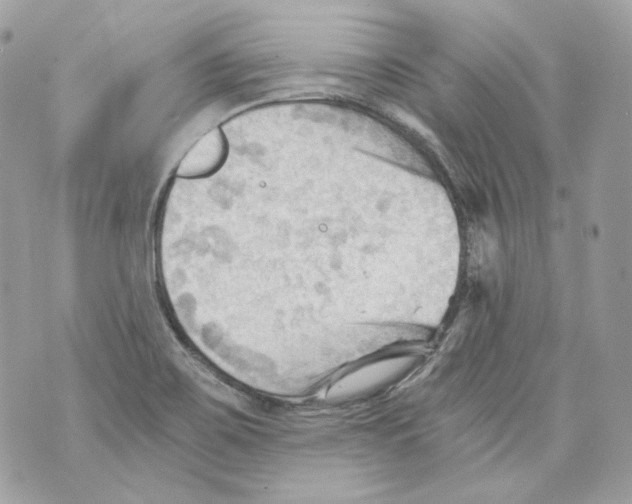 X0000069811467200606161837